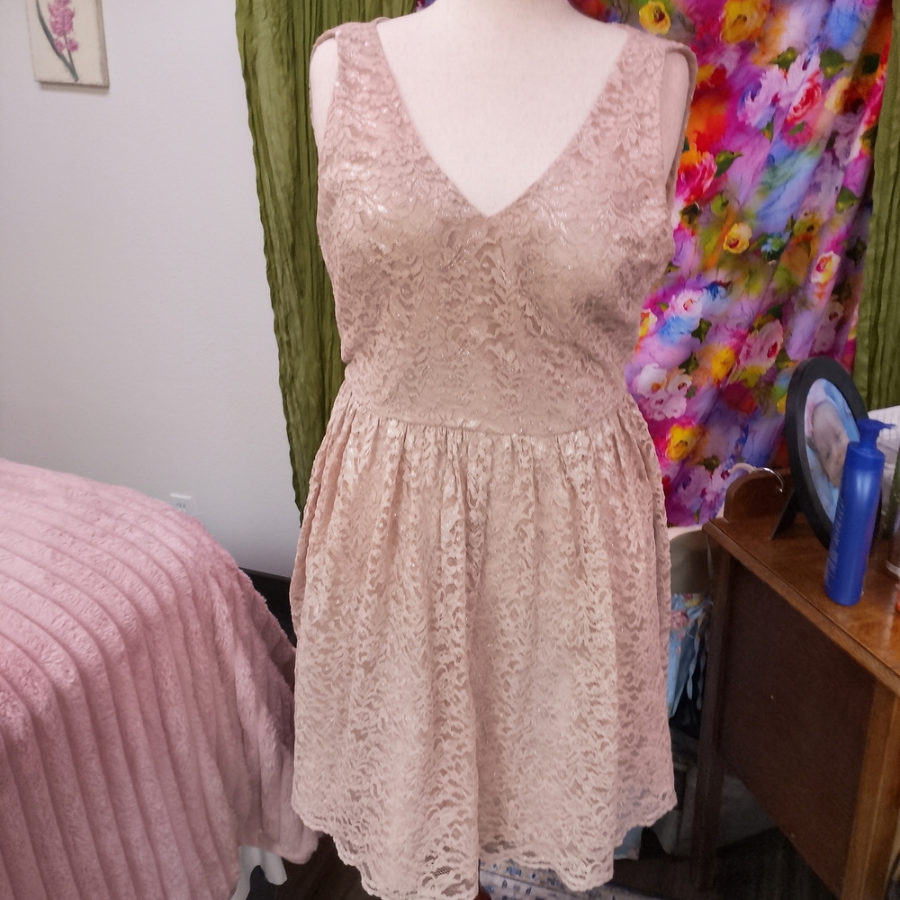 Jessica Howard Blush Lace Mini Dress